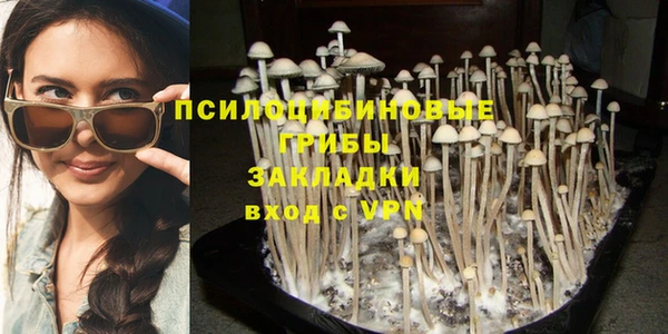мескалин Алексин