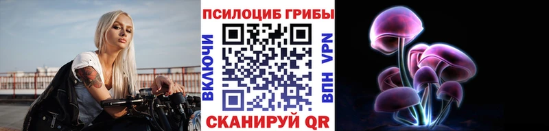 Галлюциногенные грибы Psilocybe  купить наркоту  Бологое 